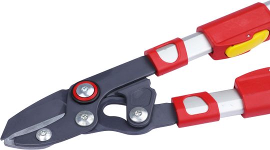 WOLF-Garten Anvil Loppers – RS900T Telescopic Garden Pruner