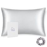 ALASKA BEAR - Natural Silk Pillowcase, Hypoallergenic, 19 Momme, 600 Thread Count 100 Percent Mulberry Silk, Standard Size with Hidden Zipper(1, Silver)