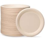 100% Compostable 9 Inch Heavy-Duty Paper Plates [250 Pack] Eco-Friendly Disposable Sugarcane Plates (Kraft)