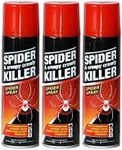 PNJB, Spider & Creepy Crawly Insect