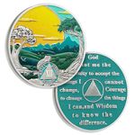 12 Years Sobriety Coin Sun Chips Alcoholics Anonymous Medallion AA Chips and Medallion Sobriety Gifts for Men Women Anniversary Token Recovery Gift Forest Tree Coin