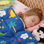 Mr. Sandman Weighted Blanket 3 Pounds Washable, Best for 20-40lb Breathable Cotton Heavy Blanket with Nontoxic Glass Beads - 36" x 48" Dinosaur Park