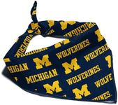 Michigan Wolverines Officially Lice