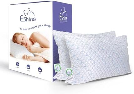 ESHINE Memory Foam Pillows Queen Size Set of 2 - Cooling Pillows, Gel Infused Cool Pillow, Silky Ice Fabric and Soft Bamboo Rayon, Breathable Queen Pillow 2 Pack, 20“x28“, CertiPUR Certified