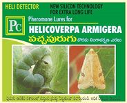 Pheromone Chemicals Heli-Detector Helicoverpa armigera Pheromone Lure (Pack of 50 No's)