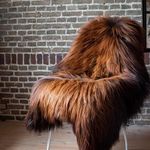 Icelandic Sheepskin Rug, Flamed Brown, 110 cm Length