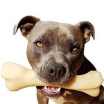 Nylabone Extreme Tough Dog Chew Toy Monster Bone, Cleans Teeth, Chicken Flavour, XXL, for Dogs Over 23 kg