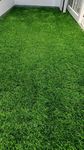Gebdinsh Garden® Imported American Bermuda Lawn Grass Seeds For Lawn, Sport Grounds & Garden (Packet Of 1 Kilogram Seeds)