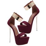 Holibanna 1 Pair Fashion Heels for Women Pointy Platform Stiletto High Heels for Women Ankle Strap High Heels Stiletto High Heel Trendy Heels Summer Shoes Overheight with Woman