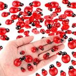 AHQiZFX 100 Pcs Mini Ladybugs, Flat