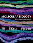 Molecular Biology: Principles and P