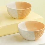 The Earth Store TT Camel 500ml Ceramic Bowl for Kitchen | Dishwasher & Microwave Safe | Bowl Mixing | Bowl for Snacks, Pasta, Rice, Dal, Fruits, Salad, Noodles, Maggi and More Snack Bowl | Set of 2