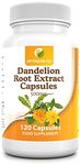 Dandelion Root Extract Capsules 500 mg 120 Capsules