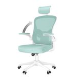 naspaluro Office Chair Desk Chair with Back Support, Ergonomic Chair with 90° Flip-Up Armrest, Adjustable Headrest, Swivel Mesh Chair for Home and Office Use (Green)