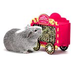 HAYPIGS Guinea Pig Toys and Accessories - Circus themed WHEEK WAGON Hay Hopper - Guinea Pig Hay Rack - Dwarf Rabbit Feeder - Hay Racks for Guinea Pigs - Hay Feeder - Hay Rack