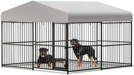 Large Dog Kennel Outdoor, 10x10 FT 