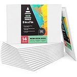 Arteza Paint Canvases for Painting,