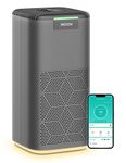 Welov P200 Pro Air Purifiers Grey