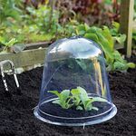 Bell Cloche Garden Protection for Young Plants Sturdy Weatherproof Plastic Design Protects Alpine and Perennial Plants from Rotting and Pests 1 x Bell Cloches by Thompson and Morgan (5 x Bell Cloche)