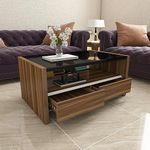 Studio Kook Jazz Compact Coffee Table | Centre Table (Walnut, Matte Finish)