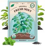 Seedboy Organic Mint Herb Seeds for Indoor Gardening or Planting Outdoors, Non-GMO and USDA Certified Herb Seed Packets, 250 Seeds/20 mg (Peppermint)