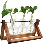 Plant Terrarium with Wooden Stand, Air Planter Bulb Glass Vase Plant Propagation Stations Retro Tabletop for Hydroponics Home Garden Office Decoration(3 Bulbs Vase, Brown)