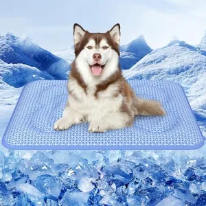 Rywell Dog