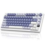 RK ROYAL KLUDGE M75 Gaming Keyboard