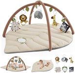 Blissful Diary Baby Play Gym & Acti
