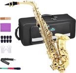 EASTROCK Alto Saxophone Gold E Flat