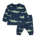 ARIEL Cotton Clothing Sets for Baby Boys & girls - Unisex Clothing sets Full Sleeve T-shirt & Pant (Shark_3-4 Years)