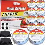 Ortho Ant Killer by Home Defense 10