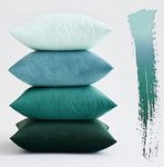 MIULEE Set of 4 Velvet Cushion Cove