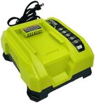 RYOBI - 40V Lithium-Ion Rapid Charger - OP406AVNM