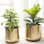 BEHOMA Metal Ribbed Design Planter for Home Decor | Decoratives for Indoor Outdoor Balcony Living Room | Table Decorative Plant Pot Set of 2 | Golden (Plant not Included)