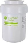 GE MWF Water Filter (MWFINT)