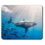 Great White Shark Mouse Mat Pad - Diver Scuba Diving Sharks Gift Computer #8935