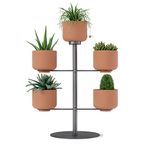 Umbra Terrapotta Tabletop Planter