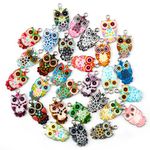 Vanyibro 30 Pieces Owl Enamel Charms,Colorful DIY Jewelry Making Pendants,Perfect for DIY Necklace, Earring, and Bracelet Making