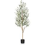 Artificial Olive Tree 5ft, Lush Faux Olive Tree for Indoor with Natural Wood Trunk and Lifelike Fruits, Silk Tall Fake Olive Tree for Home Decor Office Living Room, 1Pcs