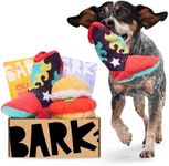 BarkBox Monthly Subscription Box, Dog Chew Toys, All Natural Dog Treats, Dental Chews, Dog Supplies Themed Monthly Box, Small Dog (0-20lb)