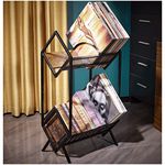 MAWEW Vinyl Record Storage, Record Holder, Vinyl Record Holder, 2 Tier Album Storage rack For Vinyl Records, 170-220 LP Storage Vinyl Record Display Holder,Black