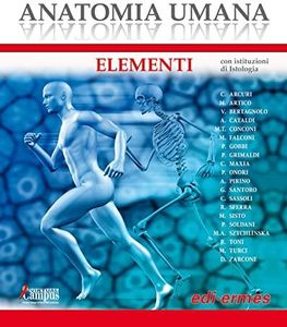 Anatomia u