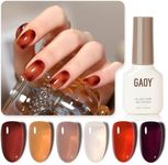 GAOY Jelly Brown Gel Nail Polish of