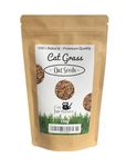 Cat Grass Seeds - Oat by Cat FurNature