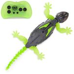 HEX BOTS Wall Crawler Gecko, Rechargeable Remote Control Robot Kids Toys, Climbs up Walls for Prank Toys and Games, RC Robot Toys for Boys & Girls Ages 4 & Up