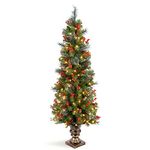 National Tree Company Christmas Tree Crestwood Spruce, PVC, Green, 5-Foot