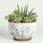 YBX YIBOXUAN Succulent Pots Terraco