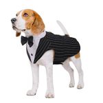 Kuoser Dog Tuxedo, Dog Wedding Suit and Bandana Set, Pet Clothes Puppy Formal Shirt with Removable Bow Tie, Doggie Costume Small Medium Large Dogs Outfit for Party Birthday Festival