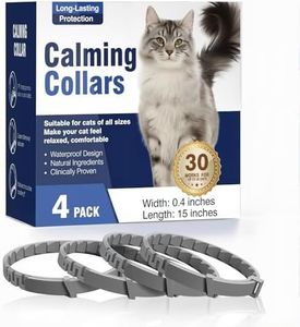 4 Pack Cat